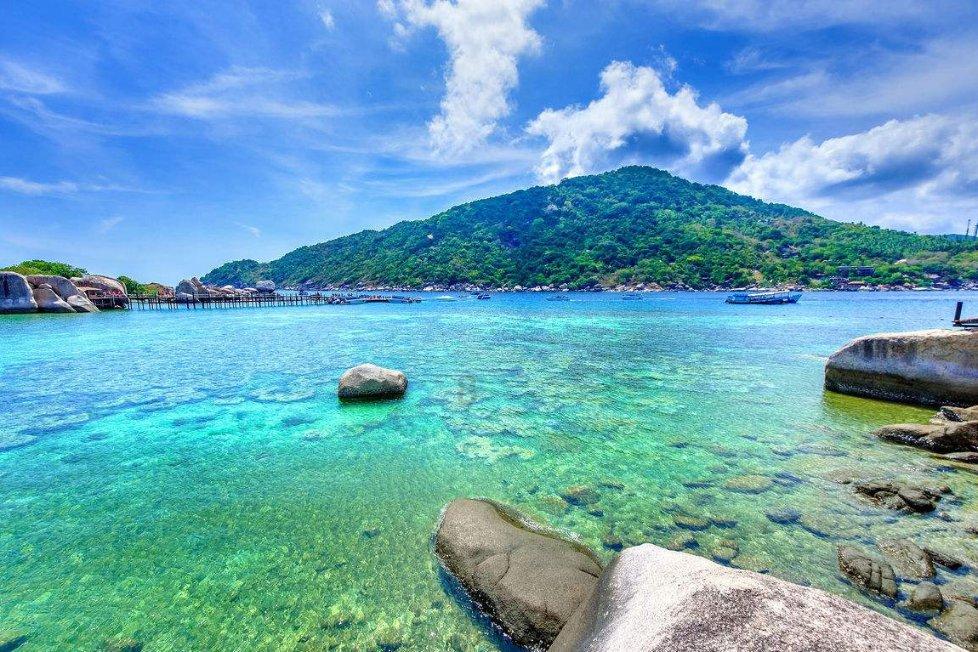 吃剩的酸奶可以倒进蔬菜桶发酵做酵素浇花浇菜么？游戏画面
