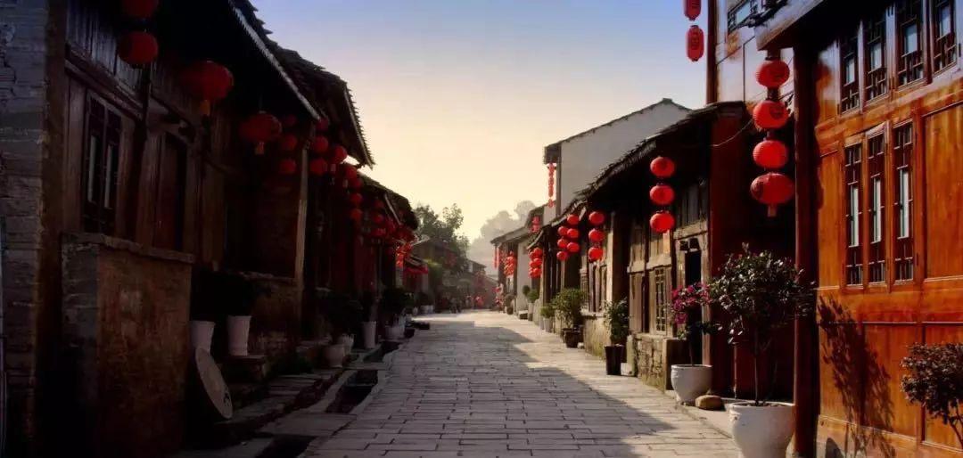 动物帮帮忙保卫家园
